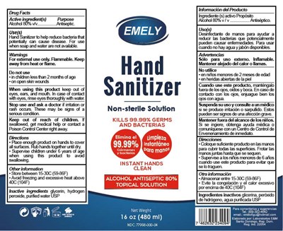 Emely Hand Sanitizer 480 mL.jpg 480 mL - Emely Hand Sanitizer 480 mL